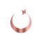 wpChatIcon